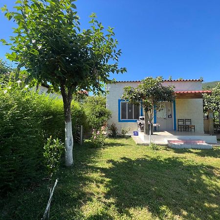 Elbasan Backpacker Hostel Exteriör bild