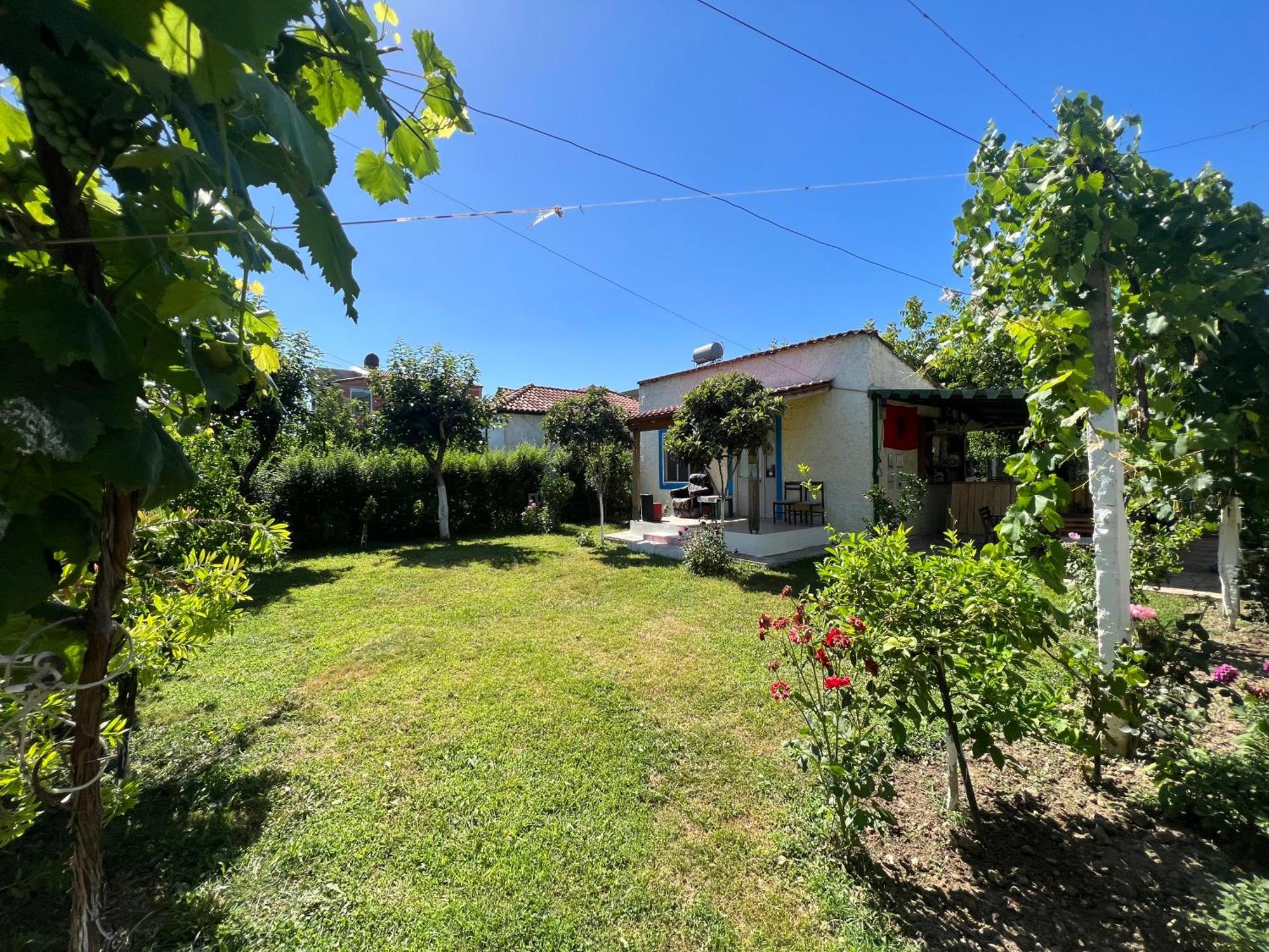 Elbasan Backpacker Hostel Exteriör bild