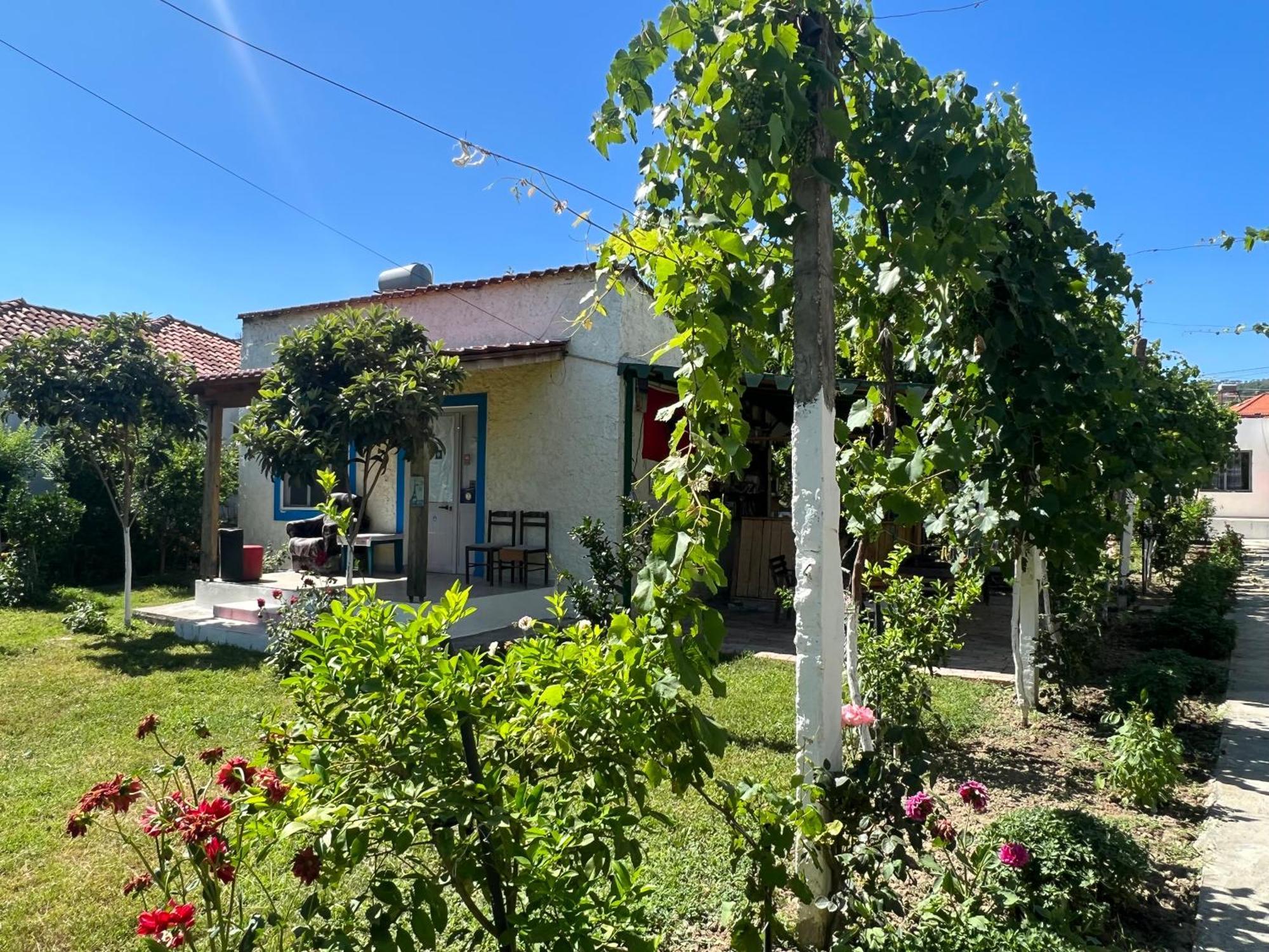 Elbasan Backpacker Hostel Exteriör bild