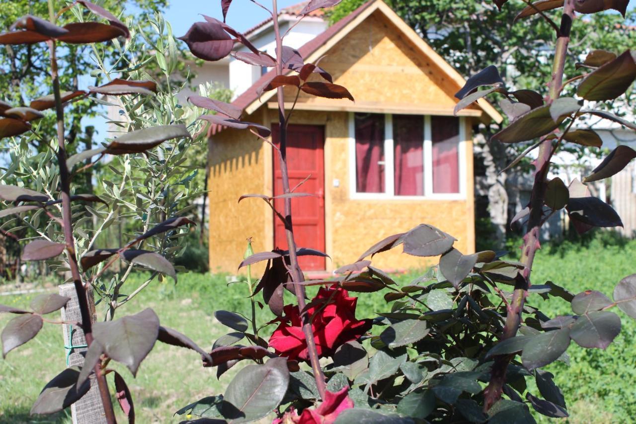 Elbasan Backpacker Hostel Exteriör bild
